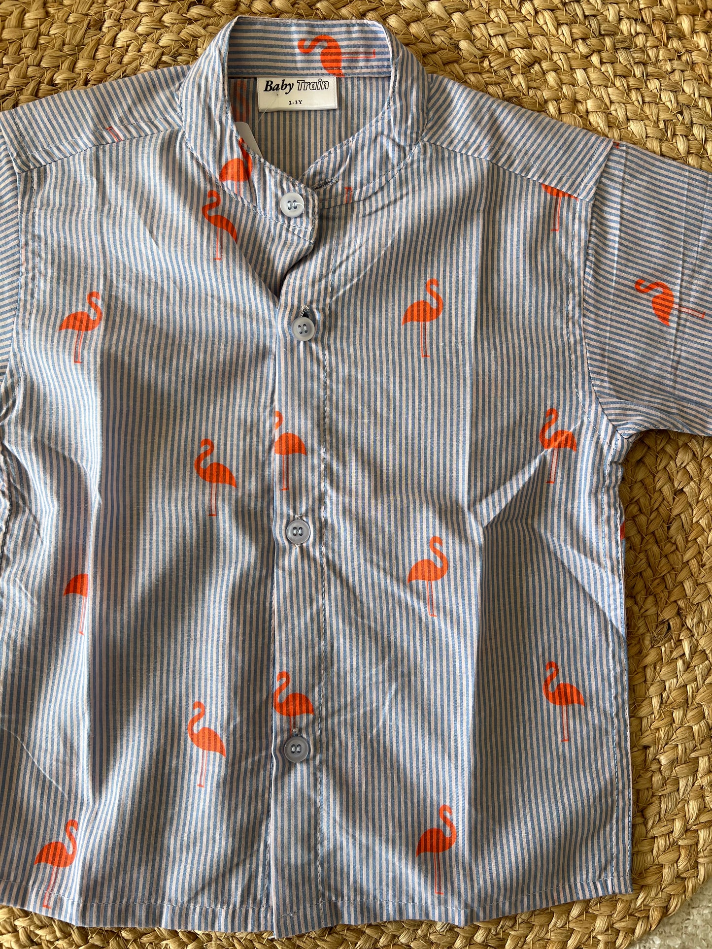 Flamingo stripes shirt